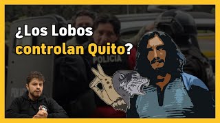 ¿Quién es Colón Pico  Los Lobos en Quito  BN Periodismo  Noticias de Ecuador [upl. by Ahsiki291]