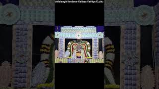 கைலாயவாத்தியம் kailayavathiyam mahadev tamil kailayam sivan சிவ [upl. by Rolan]