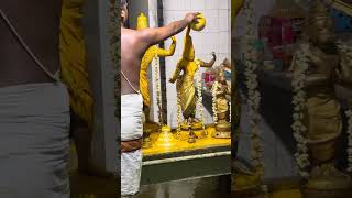 Mudikondan Kodanda Ramar Thirumanjanam Turmeric abhishekam Bharadhwaja ashram Southern India [upl. by Wilow]