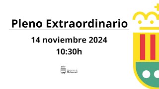 PLENO EXTRAORDINARIO  14 NOVIEMBRE de 2024 [upl. by Nitsirc676]