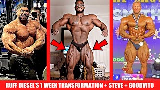 Ruff Diesels INSANE 1 Week Transformation  Can Steve Win the Arnold  GoodVito Wins a Show MORE [upl. by Irianat320]