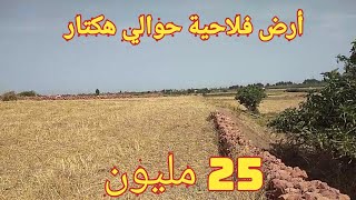 أرض فلاحية نواحي فاس مكناس حوالي هكتار ب 25 مليون terrain agricole ain chgag fes meknes [upl. by Aerda220]