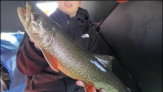 Ice Fishing Fish Lake UTAH  Big Splake and Lake Trout [upl. by Irby361]