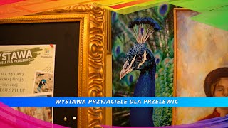 Wystawa Przyjaciele dla Przelewic [upl. by Daveda]