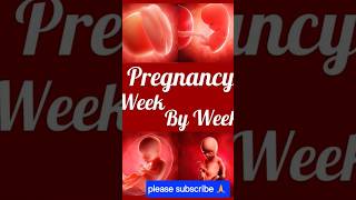 4th week pregnancy baby development babygrowth pregnancytips ultrasound pregnancyscan [upl. by Kitrak]