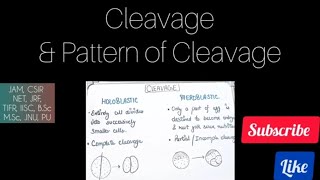 Pattern Of Cleavage Of Zygote Holoblastic amp Meroblastic cleavage [upl. by Glori474]