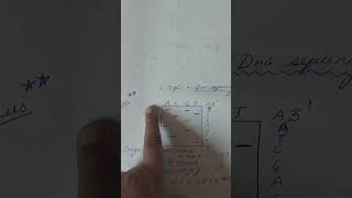 Analyzing gel after sangers sequencing csirnetlifesciencebiologydnashortsjrfmolecularbiology [upl. by Endo]