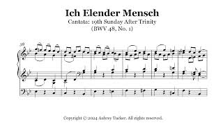 Organ Ich Elender Mensch Wer Wird Mich Erlösen Cantata After Trinity BWV 48 No 1  JS Bach [upl. by Marysa]