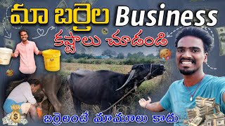 బర్రెలతో Business మామూలుగా ఉండదు🥵🐃🔥మా ఆశలు మా గోసలు😇😴villagemilkfarmyoutubevideotrendingvideo [upl. by Mian]