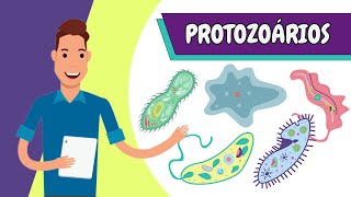 Resumo  PROTOZOÁRIOS [upl. by Suilenroc]