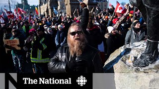 Frustration unifies protesters on Parliament Hill [upl. by Godfrey]