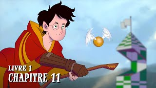 HARRY POTTER  Livre 1  Chapitre 11  LE MATCH DE QUIDDITCH [upl. by Kassie]