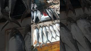 vanagaram fish market food fishing viralshorts trendingshorts karancviews karanchellappa 😊💐 [upl. by Romeon]