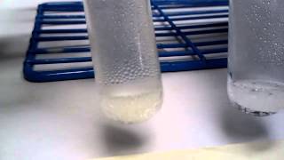 Zinc and 6 M Hydrochloric Acid Reaction [upl. by Oirazan]