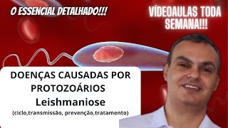 Doenças causadas por protozoáriosLeishmaniose cicloprevenção tratamento transmissão e sintomas [upl. by Sirah945]