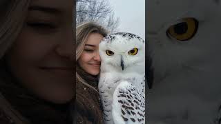 Embrace of the Snowy Owl shorts owl pets [upl. by Dawn]