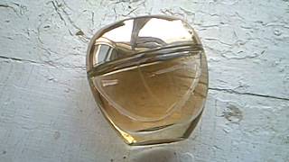 DKNY GOLDEN DELICIOUS SKIN 100 PURE NEW YORK [upl. by Seeto]