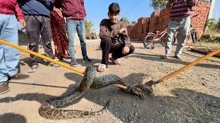 Etna Bada Snake 🐍 Pakad Liya 😲 [upl. by Anaerda]