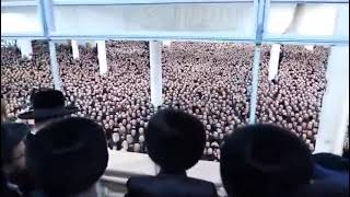 Gerrer Chassidim Celebrate The Wedding Of The Rebbes Grandson  Adar II 5784 [upl. by Ninehc595]