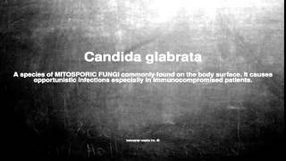 Medical vocabulary What does Candida glabrata mean [upl. by Rhyne309]