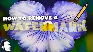 How to Remove a Watermark LIKE A JERK [upl. by Kcinimod]