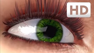 How eyelashes grow  Nanolash® eyelash serum Explainer Video [upl. by Ydak497]