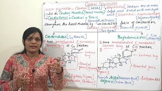 Cardiac Glycosides  Introduction to Cardiac Glycoside  Types of Cardiac Glycoside  Cardiotonics [upl. by Beghtol]