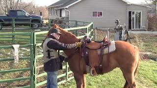 Evaluation of the new J C Martin in skirt rigged wade saddle with Smokie Brannaman [upl. by Vasily]