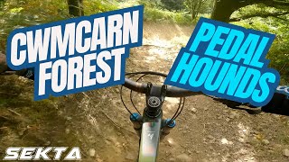 CWMCARN MTB💥Pedalhounds Downhill [upl. by Jesher]