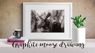 Moose  graphite pencil drawing time lapse [upl. by Nivrag]