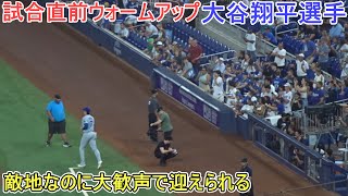 試合直前ウォームアップ～ファンから大歓声で迎えられる～【大谷翔平選手】Shohei Ohtani vs Marlins 2024 [upl. by Ayamahs411]