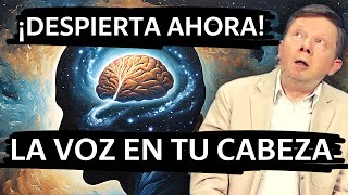 Acelera tu Evolución Claves para Profundizar el Cambio de Conciencia [upl. by Havstad]