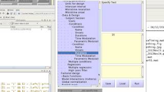 SPM GLM Specification and Estimation [upl. by Zizaludba]