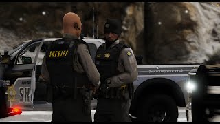 In LSPDFR mit einem Partner streife fahren  Ultimate Backup  Tutorial [upl. by Elleryt795]