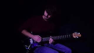 Purple Rain Guitar Solo [upl. by Imak]