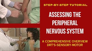 How to Assess the Peripheral Nervous System [upl. by Lletnohs325]