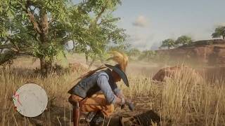 RDR2 Online Splintered Arrowhead  Hennigans Stead [upl. by Hege362]