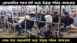 শনির আখড়া কোরবানির গরুর হাট জমে উঠেছে  Shonir Akhra Gorur Haat 2024  Gorur Haat  গরুর হাট [upl. by Kirst]