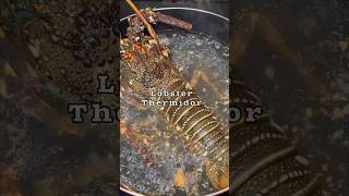 Perfect recipe of Lobster Thermidor thermidor seafood lobster ksa [upl. by Tyrus399]