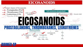 Eicosanoids Prostaglandins Thromboxanes and Leukotrienes [upl. by Rodd]