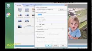 How to Crop or Resize Pictures with Picasa For Dummies [upl. by Sianna480]