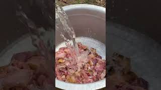 PANNI KARI Varuval  Village style pork fry  Vetti pasanga village cooking channel [upl. by Pape]