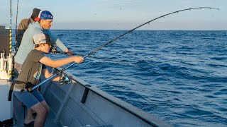 yellowtail fishing in cedros island  cedros sportfishing with toro [upl. by Whittemore]