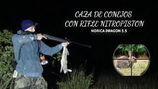 CAZA DE CONEJOS CON RIFLE NITROPISTON NORICA DRAGON 55 EN CABRERO [upl. by Eiuqnom]