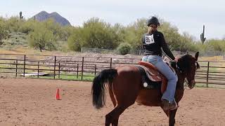 Class 28  Western Horsemanship 3Gaited  Scottsdale Saddle Club  February Horse Show [upl. by Hook]