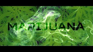 Marijuana Binaural Beat  ASMR  SAM  Digital THC Drug  420 Delta9 [upl. by Anid117]