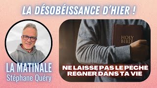 Pourquoi la désobéissance coûte toujours plus cher que lobéissance Avec Stéphane Quéry [upl. by Jennilee]