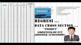 Cara Section GoodnessOfFitTest Hosmer Lemeshow  Probit Data Cross Section  Eviews 9 Part2 [upl. by Nnylatsyrk778]