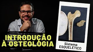 SISTEMA ESQUELÉTICO INTRODUÇÃO À OSTEOLOGIA  AULA PRÁTICA COM PROF ANDRÉ OLIVEIRA [upl. by Peedus]