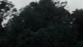 bigfoot amp Dogman screams off mountain [upl. by Leunad]